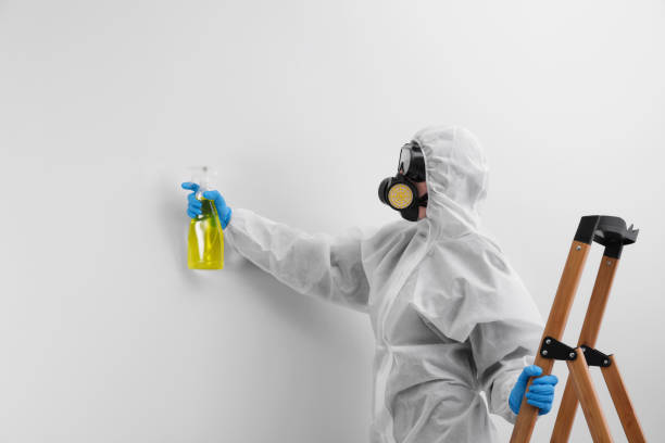 Why You Should Choose Our Mold Remediation Services in Thornville, OH